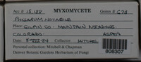 Image Associated With the Occurence